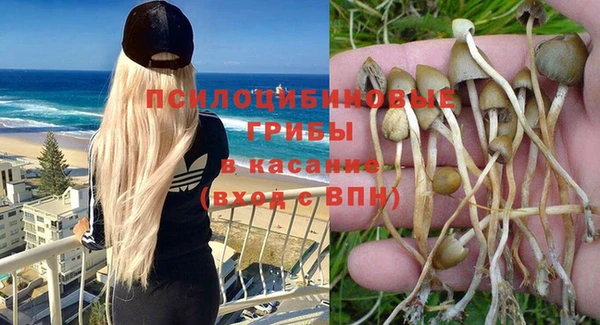 spice Михайловск